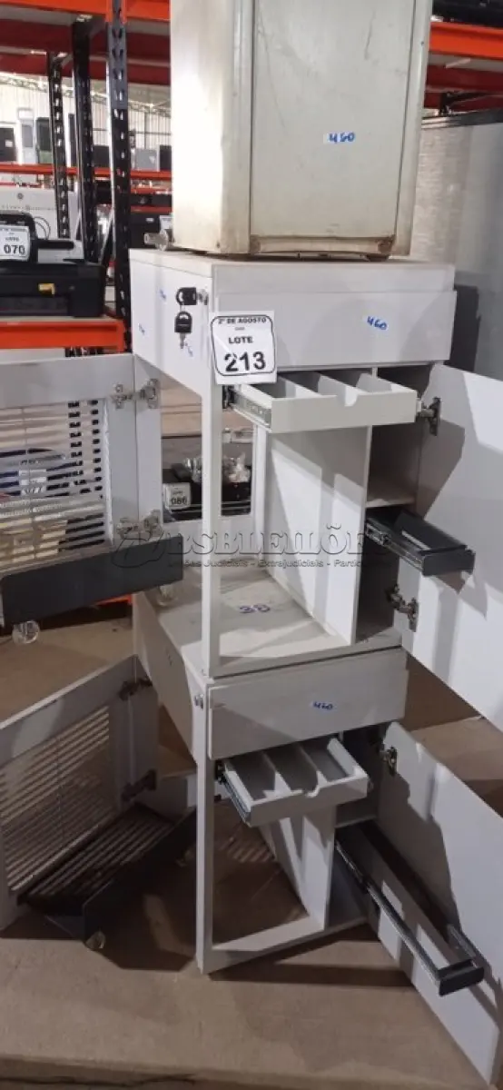 LOTE 213 - 01 BEBEDOURO DE COLUNA E 02 ARMÁRIOS BAIXOS COM 01 GAVETA E SUPORTE PARA CPU EM MADEIRA. (NO ESTADO) ATENÇÃO! FAZER A VISITAÇÃO ANTES DE ARREMATAR, NÃO SABEMOS SE FUNCIONA, LEILÃO NÃO TEM GARANTIA E NEM DEVOLUÇÃO, SUJEITO A POSSÍVEIS AVARIAS VISÍVEIS/OCULTAS E/OU AUSÊNCIA DE COMPONENTES.