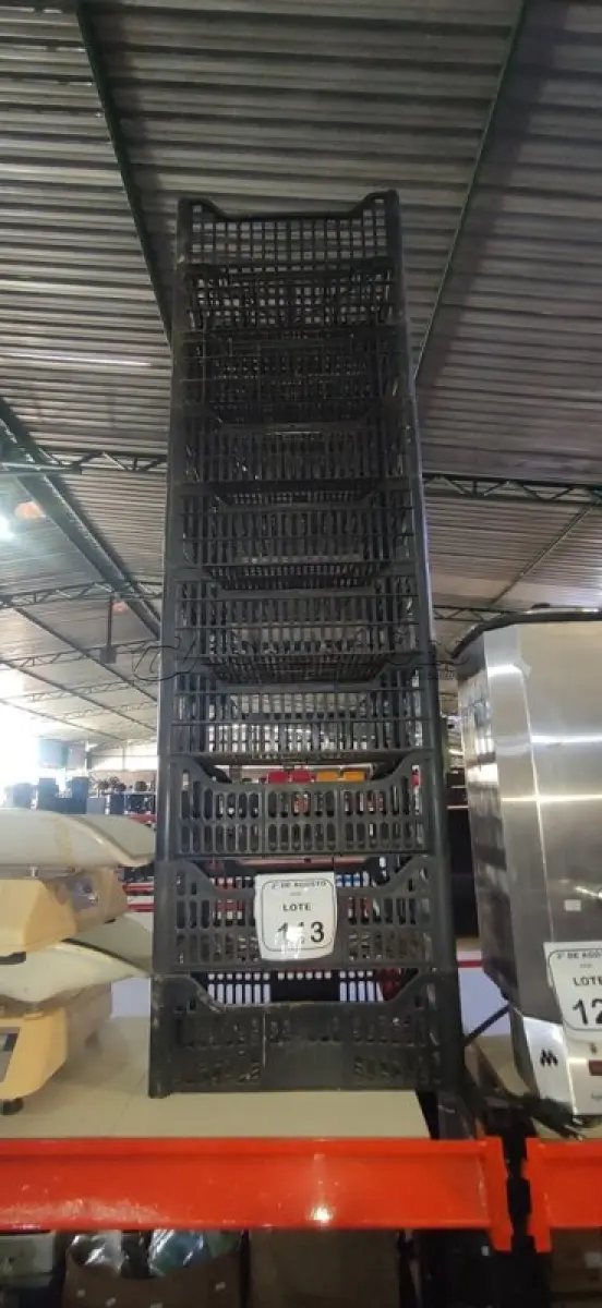 LOTE 113 - 10 CESTAS ORGANIZADORAS. (NO ESTADO) ATENÇÃO! FAZER A VISITAÇÃO ANTES DE ARREMATAR, NÃO SABEMOS SE FUNCIONA, LEILÃO NÃO TEM GARANTIA E NEM DEVOLUÇÃO, SUJEITO A POSSÍVEIS AVARIAS VISÍVEIS/OCULTAS E/OU AUSÊNCIA DE COMPONENTES.