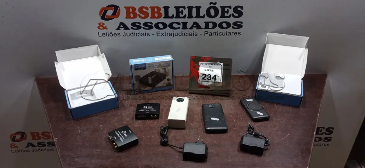 LOTE 234