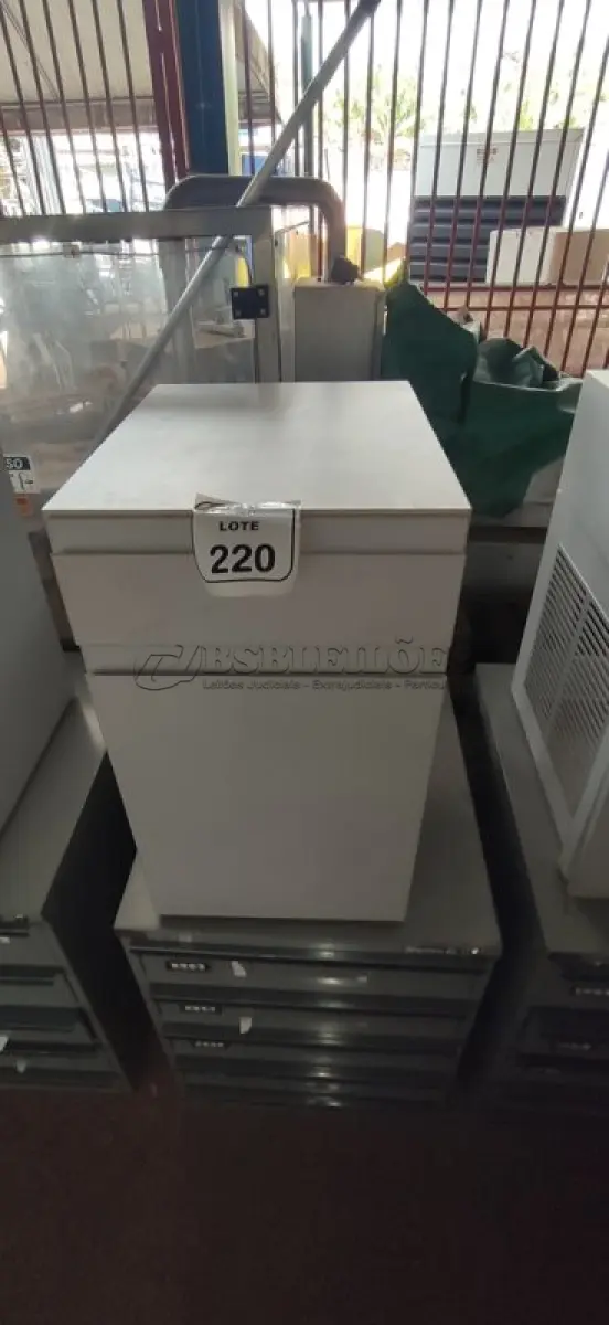 LOTE 220 - 01 ARQUIVO BAIXO DE AÇO COM 05 GAVETAS E 01 ARMÁRIO BAIXO COM 01 GAVETA E SUPORTE PARA CPU. (NO ESTADO) ATENÇÃO! FAZER A VISITAÇÃO ANTES DE ARREMATAR, NÃO SABEMOS SE FUNCIONA, LEILÃO NÃO TEM GARANTIA E NEM DEVOLUÇÃO, SUJEITO A POSSÍVEIS AVARIAS VISÍVEIS/OCULTAS E/OU AUSÊNCIA DE COMPONENTES.