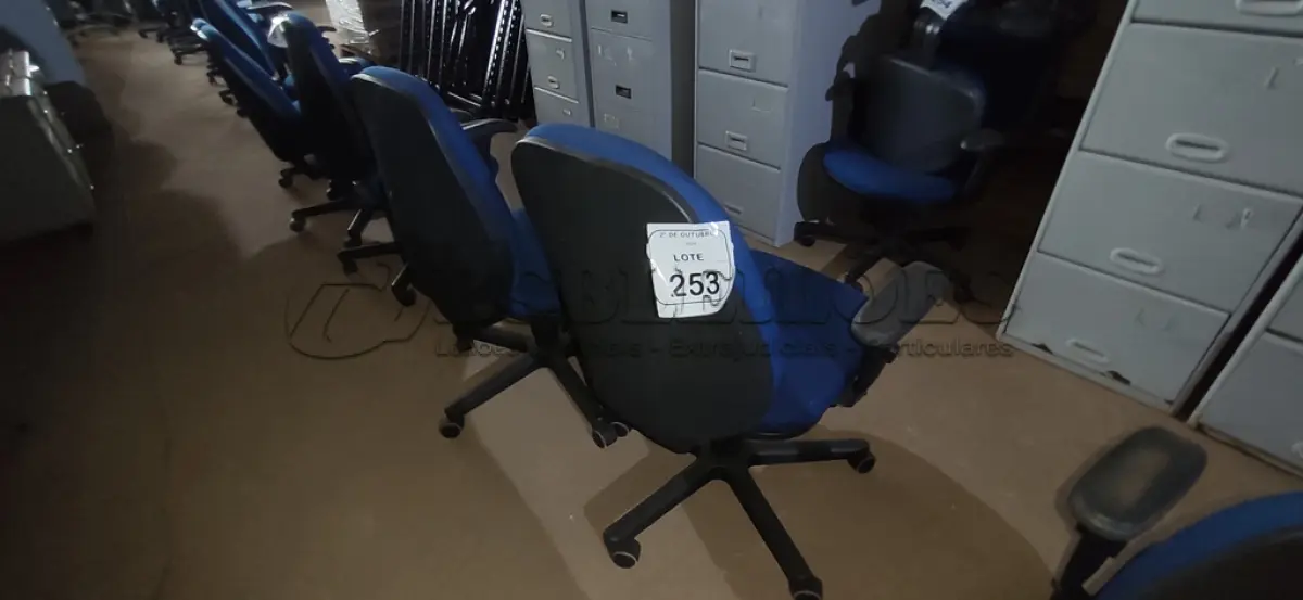 LOTE 253 - 02 CADEIRAS DE ESCRITÓRIO GIRATÓRIA. (NO ESTADO) ATENÇÃO! FAZER A VISITAÇÃO ANTES DE ARREMATAR, NÃO SABEMOS SE FUNCIONA, LEILÃO NÃO TEM GARANTIA E NEM DEVOLUÇÃO, SUJEITO A POSSÍVEIS AVARIAS VISÍVEIS/OCULTAS E/OU AUSÊNCIA DE COMPONENTES.
