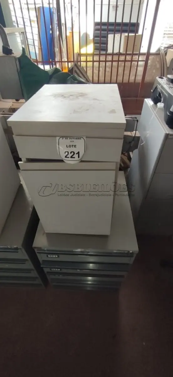 LOTE 221 - 01 ARQUIVO BAIXO DE AÇO COM 05 GAVETAS E 01 ARMÁRIO BAIXO COM 01 GAVETA E SUPORTE PARA CPU. (NO ESTADO) ATENÇÃO! FAZER A VISITAÇÃO ANTES DE ARREMATAR, NÃO SABEMOS SE FUNCIONA, LEILÃO NÃO TEM GARANTIA E NEM DEVOLUÇÃO, SUJEITO A POSSÍVEIS AVARIAS VISÍVEIS/OCULTAS E/OU AUSÊNCIA DE COMPONENTES.