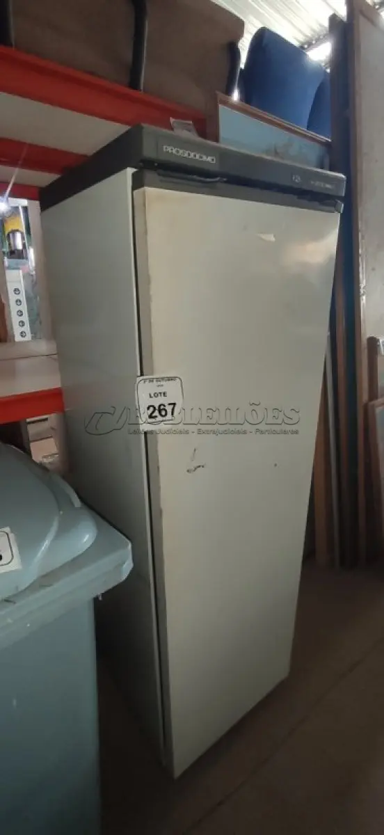 LOTE 267 - 01 FREEZER MODELO F25 STOCK MARCA PROSDÓCIMO. (NO ESTADO) ATENÇÃO! FAZER A VISITAÇÃO ANTES DE ARREMATAR, NÃO SABEMOS SE FUNCIONA, LEILÃO NÃO TEM GARANTIA E NEM DEVOLUÇÃO, SUJEITO A POSSÍVEIS AVARIAS VISÍVEIS/OCULTAS E/OU AUSÊNCIA DE COMPONENTES.