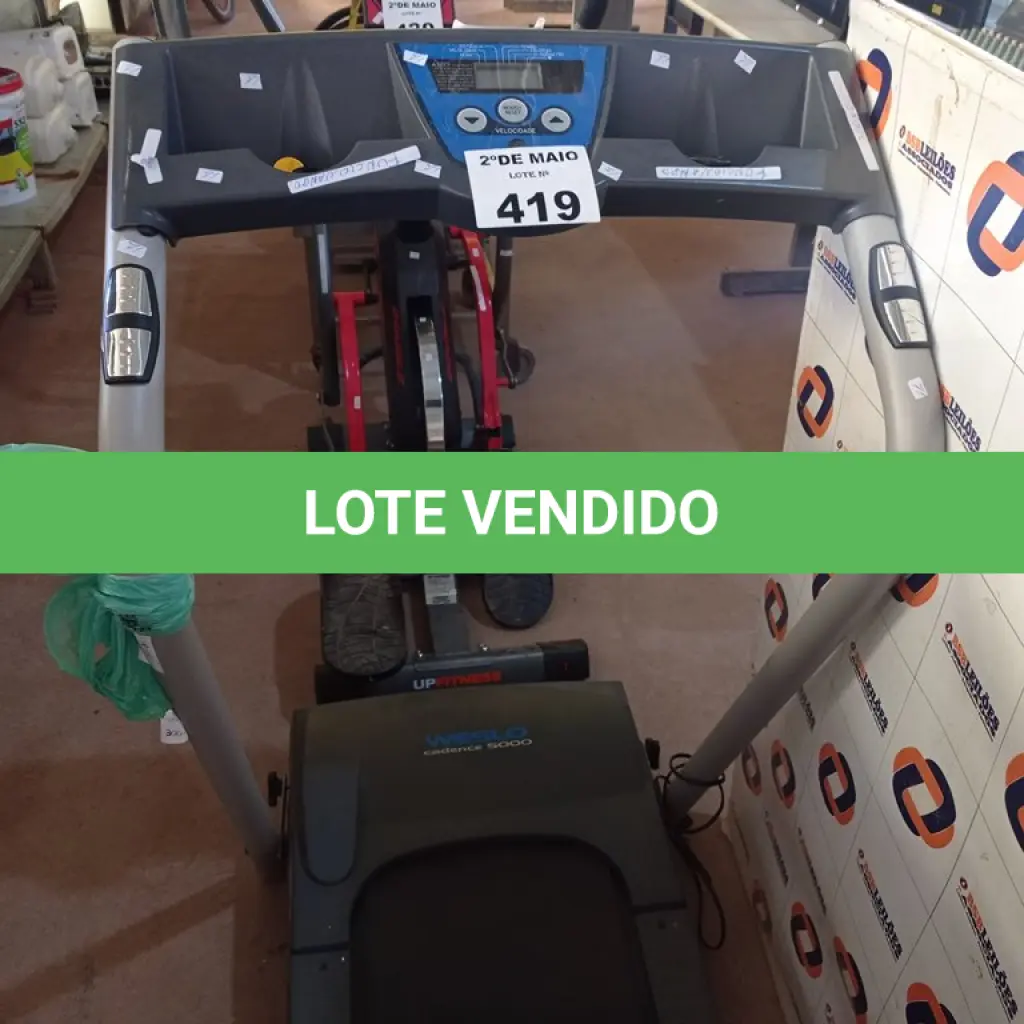 LOTE 419