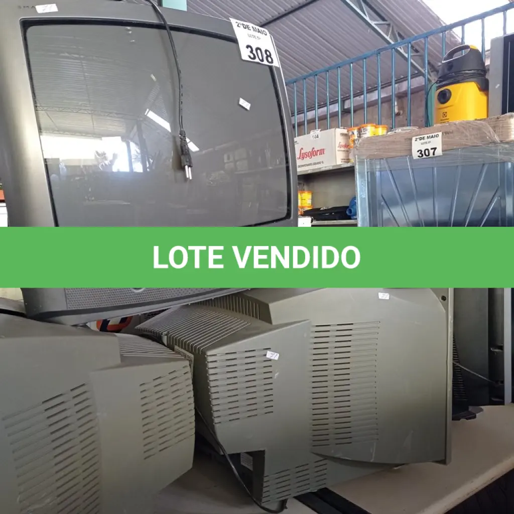 LOTE 308