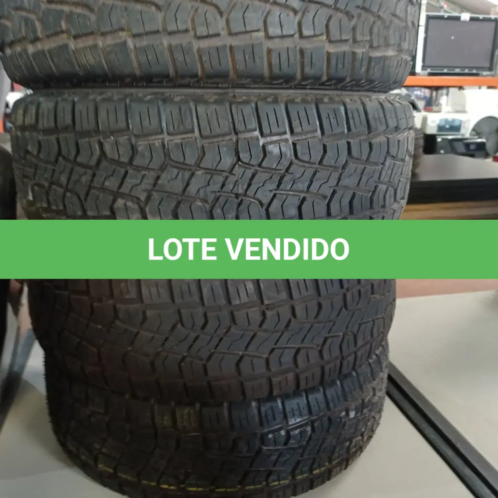 LOTE 312