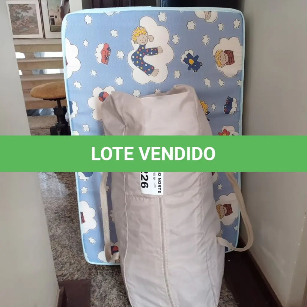 LOTE 226