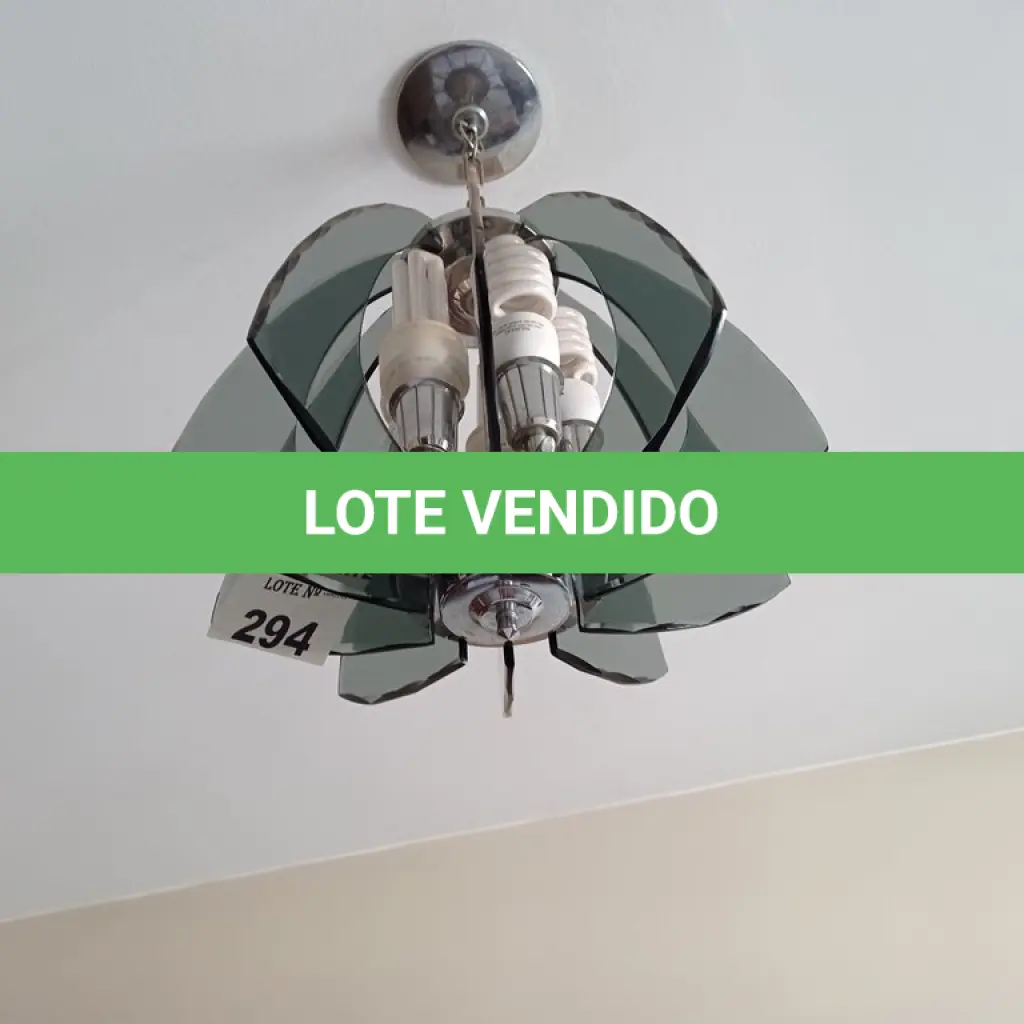 LOTE 294