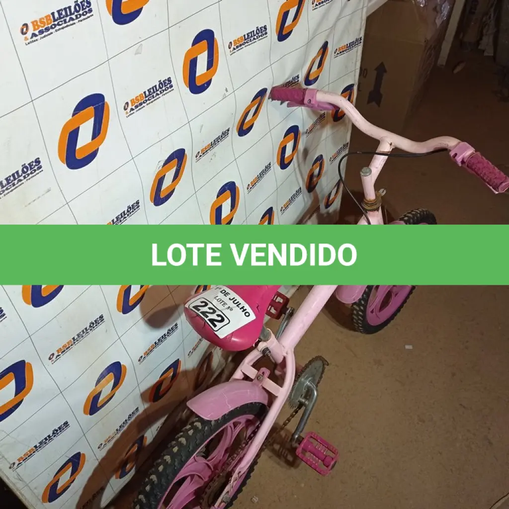 LOTE 222
