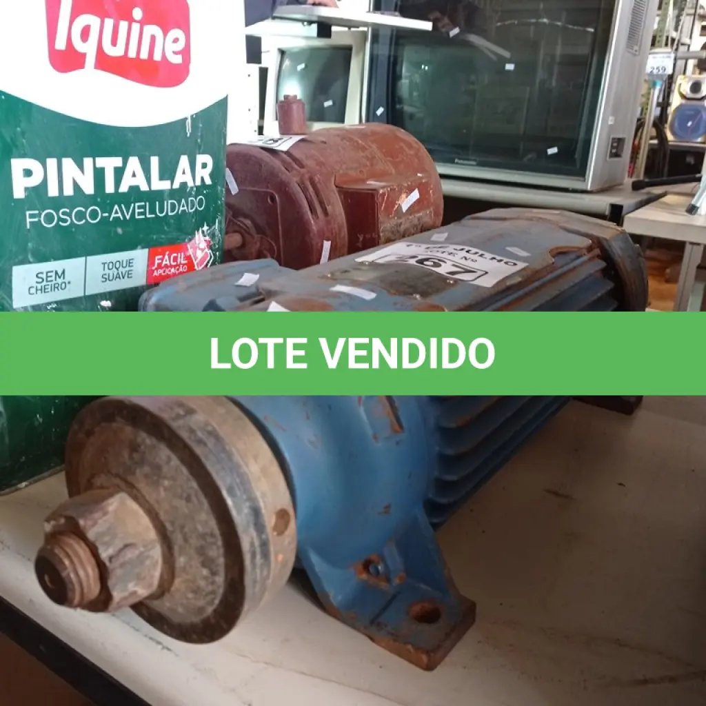 LOTE 267