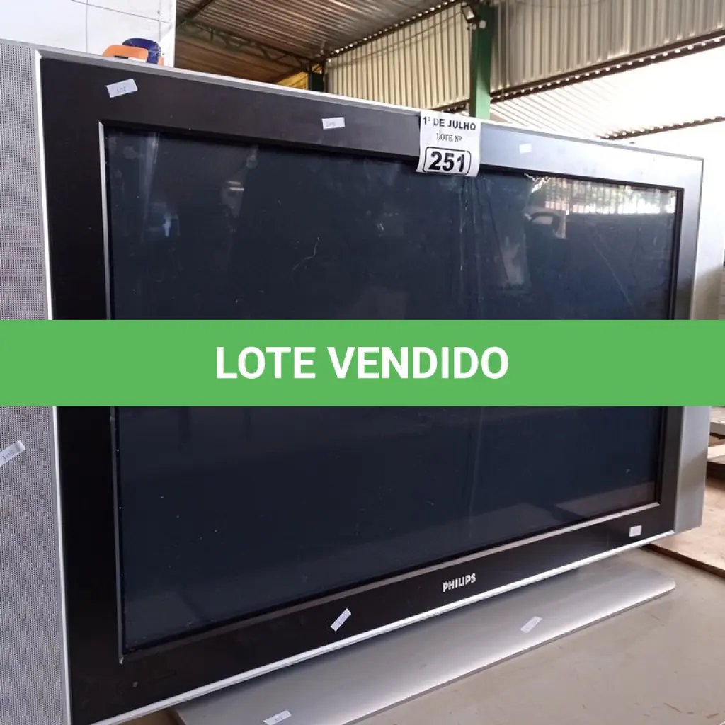 LOTE 251