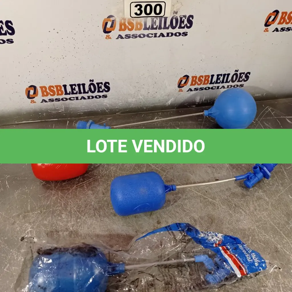 LOTE 300