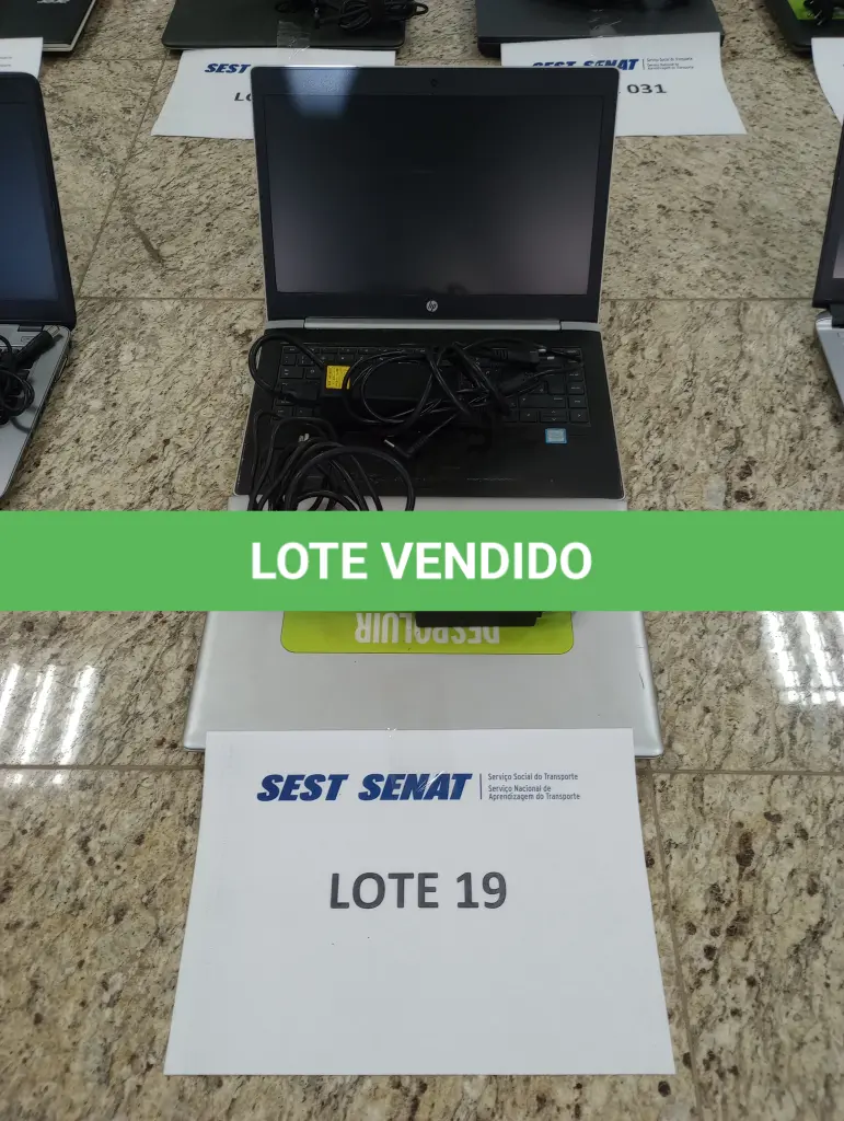 LOTE 729