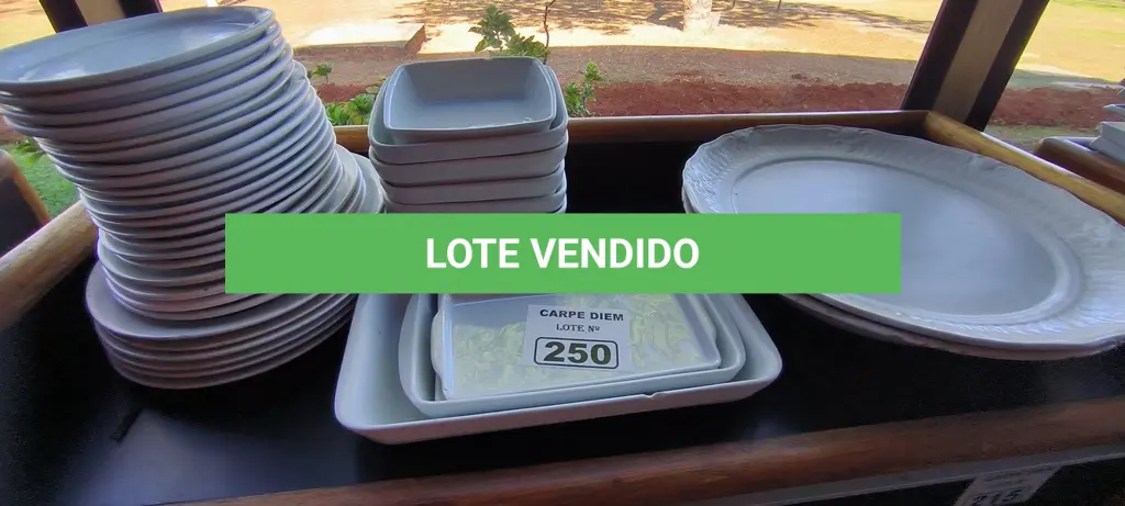 LOTE 250
