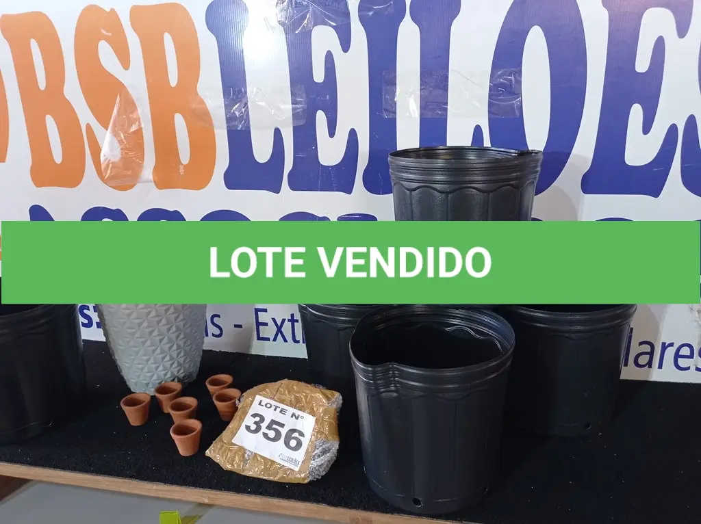 LOTE 356