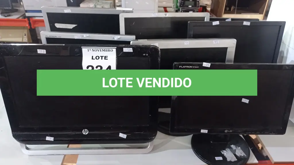 LOTE 234