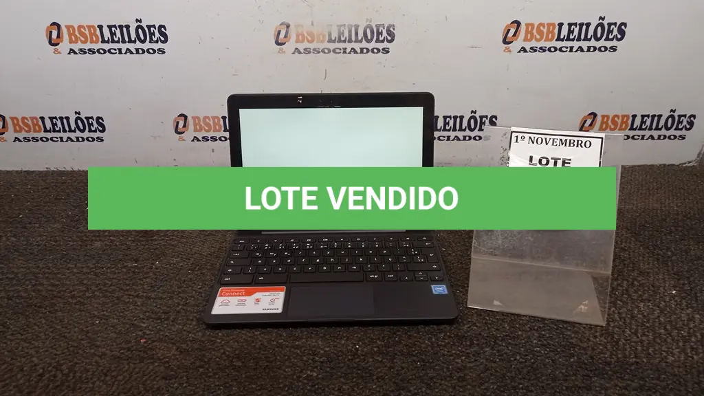 LOTE 494