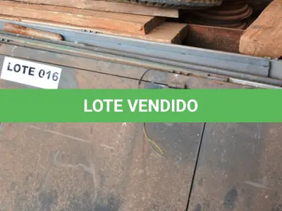 LOTE 016 - 09 PORTAS EM FERRO. (NO ESTADO)