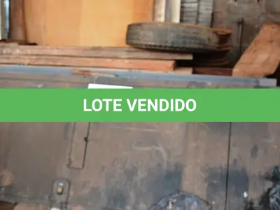 LOTE 016 - 09 PORTAS EM FERRO. (NO ESTADO)