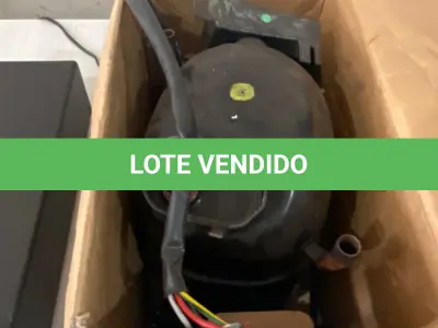LOTE 024 - 01 MOTOR PARA FREEZER.(NO ESTADO)