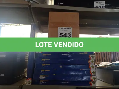 LOTE 543 - 01 LOTE COM VÁRIAS LÂMPADAS FLUORESCENTES. (NO ESTADO) ATENÇÃO! FAZER A VISITAÇÃO ANTES DE ARREMATAR, NÃO SABEMOS SE FUNCIONA. LEILÃO NÃO TEM GARANTIA E NEM DEVOLUÇÃO, SUJEITO A POSSÍVEIS AVARIAS VISÍVEIS/OCULTAS E/OU AUSÊNCIA DE COMPONENTES.