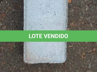 LOTE 141 - 01 PALETE DE COM APROXIMADAMENTE 750 BLOQUETES PARA PAVIMENTAÇÃO (NO ESTADO) (RETIRAR EM GOIÂNIA -GO)
