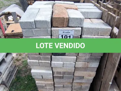 LOTE 101 - 01 LOTE COM BLOQUETES EM CONCRETO (NO ESTADO) 