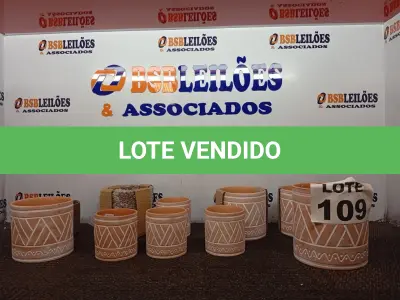 LOTE 109 - 10 – VASOS DE ARGILA (NO ESTADO, NÃO SABEMOS SE FUNCIONA. LEILÃO NÃO TEM GARANTIA E NEM DEVOLUÇÃO, SUJEITO A POSSÍVEIS AVARIAS VISÍVEIS/OCULTAS E/OU AUSÊNCIA DE COMPONENTES)