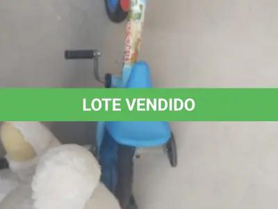 LOTE 402 - 01 LOTE COM UMA BICICLETA INFANTIL SEM USO E UM URSO GRANDE. (NO ESTADO) ATENÇÃO! FAZER A VISITAÇÃO ANTES DE ARREMATAR, NÃO SABEMOS SE FUNCIONA, LEILÃO NÃO TEM GARANTIA E NEM DEVOLUÇÃO, SUJEITO A POSSÍVEIS AVARIAS VISÍVEIS/OCULTAS E/OU AUSÊNCIA DE COMPONENTES.