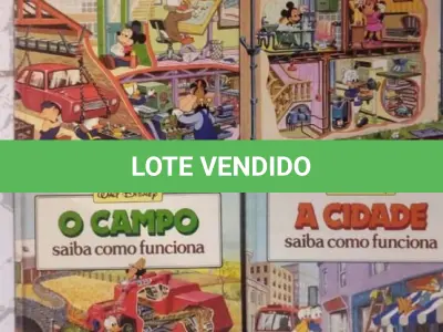 LOTE 495 - 01 COLEÇÃO SAIBA COMO FUNCIONA DA DISNEY. (NO ESTADO) ATENÇÃO! FAZER A VISITAÇÃO ANTES DE ARREMATAR, NÃO SABEMOS SE FUNCIONA, LEILÃO NÃO TEM GARANTIA E NEM DEVOLUÇÃO, SUJEITO A POSSÍVEIS AVARIAS VISÍVEIS/OCULTAS E/OU AUSÊNCIA DE COMPONENTES.