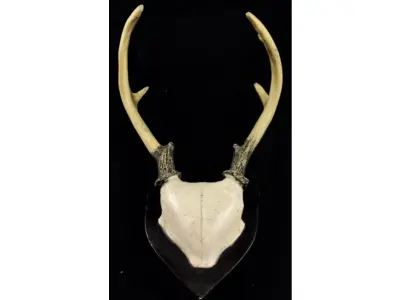 LOTE 058 - RARO CHIFRE DE CERVO SUÍÇO EM RESINA COM BRASÃO EM MADEIRA (30 CM DE ALTURA (NO ESTADO)