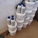 LOTE 030 - 13 LATAS DE 5KG COM COLA PISO AUBICON (NO ESTADO, NÃO SABEMOS SE FUNCIONA. LEILÃO NÃO TEM GARANTIA E NEM DEVOLUÇÃO).
