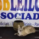 LOTE 018 - 01 - VASO DE MADEIRA TRABALHADA (NO ESTADO, NÃO SABEMOS SE FUNCIONA. LEILÃO NÃO TEM GARANTIA E NEM DEVOLUÇÃO, SUJEITO A POSSÍVEIS AVARIAS VISÍVEIS/OCULTAS E/OU AUSÊNCIA DE COMPONENTES)