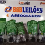 LOTE 017 - 05 ESPETOS P/ JARDIM DESTACO LED 5W VERDE - TASHIBRA NOVO. (NO ESTADO)