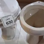 02 VASOS SANITÁRIOS. (NO ESTADO) ATENÇÃO! FAZER A VISITAÇÃO ANTES DE ARREMATAR, NÃO SABEMOS SE FUNCIONA, LEILÃO NÃO TEM GARANTIA E NEM DEVOLUÇÃO, SUJEITO A POSSÍVEIS AVARIAS VISÍVEIS/OCULTAS E/OU AUSÊNCIA DE COMPONENTES.