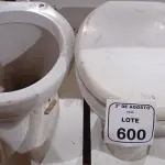 02 VASOS SANITÁRIOS. (NO ESTADO) ATENÇÃO! FAZER A VISITAÇÃO ANTES DE ARREMATAR, NÃO SABEMOS SE FUNCIONA, LEILÃO NÃO TEM GARANTIA E NEM DEVOLUÇÃO, SUJEITO A POSSÍVEIS AVARIAS VISÍVEIS/OCULTAS E/OU AUSÊNCIA DE COMPONENTES.