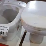 02 VASOS SANITÁRIOS. (NO ESTADO) ATENÇÃO! FAZER A VISITAÇÃO ANTES DE ARREMATAR, NÃO SABEMOS SE FUNCIONA, LEILÃO NÃO TEM GARANTIA E NEM DEVOLUÇÃO, SUJEITO A POSSÍVEIS AVARIAS VISÍVEIS/OCULTAS E/OU AUSÊNCIA DE COMPONENTES.