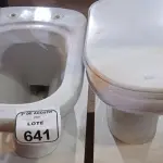 02 VASOS SANITÁRIOS. (NO ESTADO) ATENÇÃO! FAZER A VISITAÇÃO ANTES DE ARREMATAR, NÃO SABEMOS SE FUNCIONA, LEILÃO NÃO TEM GARANTIA E NEM DEVOLUÇÃO, SUJEITO A POSSÍVEIS AVARIAS VISÍVEIS/OCULTAS E/OU AUSÊNCIA DE COMPONENTES.