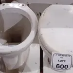 02 VASOS SANITÁRIOS. (NO ESTADO) ATENÇÃO! FAZER A VISITAÇÃO ANTES DE ARREMATAR, NÃO SABEMOS SE FUNCIONA, LEILÃO NÃO TEM GARANTIA E NEM DEVOLUÇÃO, SUJEITO A POSSÍVEIS AVARIAS VISÍVEIS/OCULTAS E/OU AUSÊNCIA DE COMPONENTES.