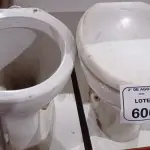 02 VASOS SANITÁRIOS. (NO ESTADO) ATENÇÃO! FAZER A VISITAÇÃO ANTES DE ARREMATAR, NÃO SABEMOS SE FUNCIONA, LEILÃO NÃO TEM GARANTIA E NEM DEVOLUÇÃO, SUJEITO A POSSÍVEIS AVARIAS VISÍVEIS/OCULTAS E/OU AUSÊNCIA DE COMPONENTES.