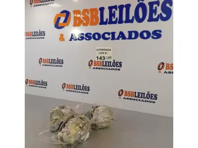 LOTE 143 - 03 MOTORES DO VENTILADOR MALLORY. (NO ESTADO, NÃO SABEMOS SE FUNCIONA. LEILÃO NÃO TEM GARANTIA E NEM DEVOLUÇÃO).