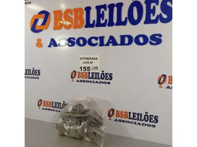 LOTE 155 - 10 PEÇAS DA CAIXA DE OSCILAÇÃO MONDIAL. (NO ESTADO, NÃO SABEMOS SE FUNCIONA. LEILÃO NÃO TEM GARANTIA E NEM DEVOLUÇÃO).