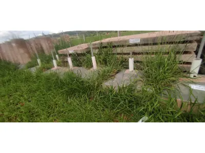 LOTE 082 - 10 SAPATAS DE CONCRETO PARA SUSTENTAÇÃO DE TORRE (NO ESTADO, NÃO SABEMOS SE FUNCIONA. LEILÃO NÃO TEM GARANTIA E NEM DEVOLUÇÃO).