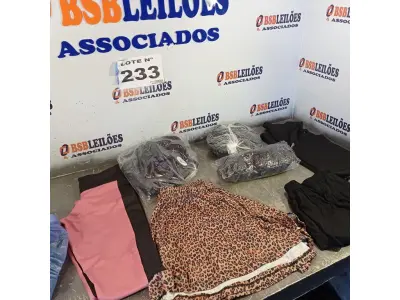 LOTE 233 - 07 – PEÇAS DE ROUPAS FEMININAS (NO ESTADO, NÃO SABEMOS SE FUNCIONA. LEILÃO NÃO TEM GARANTIA E NEM DEVOLUÇÃO, SUJEITO A POSSÍVEIS AVARIAS VISÍVEIS/OCULTAS E/OU AUSÊNCIA DE COMPONENTES)