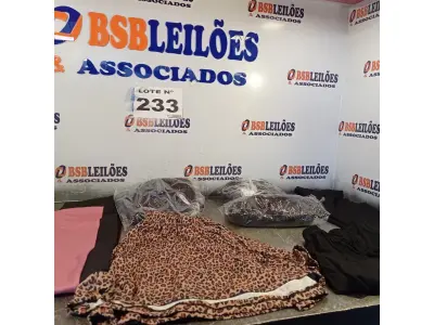LOTE 233 - 07 – PEÇAS DE ROUPAS FEMININAS (NO ESTADO, NÃO SABEMOS SE FUNCIONA. LEILÃO NÃO TEM GARANTIA E NEM DEVOLUÇÃO, SUJEITO A POSSÍVEIS AVARIAS VISÍVEIS/OCULTAS E/OU AUSÊNCIA DE COMPONENTES)
