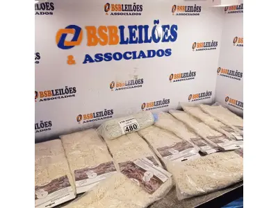 LOTE 480 - 10 MOP PARA PÓ MODELOS DIVERSOS. (NO ESTADO) ATENÇÃO! FAZER A VISITAÇÃO ANTES DE ARREMATAR, NÃO SABEMOS SE FUNCIONA. LEILÃO NÃO TEM GARANTIA E NEM DEVOLUÇÃO, SUJEITO A POSSÍVEIS AVARIAS VISÍVEIS/OCULTAS E/OU AUSÊNCIA DE COMPONENTES).