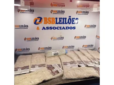 LOTE 480 - 10 MOP PARA PÓ MODELOS DIVERSOS. (NO ESTADO) ATENÇÃO! FAZER A VISITAÇÃO ANTES DE ARREMATAR, NÃO SABEMOS SE FUNCIONA. LEILÃO NÃO TEM GARANTIA E NEM DEVOLUÇÃO, SUJEITO A POSSÍVEIS AVARIAS VISÍVEIS/OCULTAS E/OU AUSÊNCIA DE COMPONENTES).
