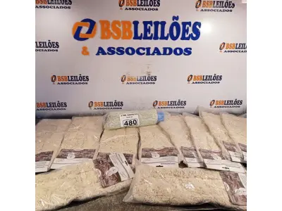 LOTE 480 - 10 MOP PARA PÓ MODELOS DIVERSOS. (NO ESTADO) ATENÇÃO! FAZER A VISITAÇÃO ANTES DE ARREMATAR, NÃO SABEMOS SE FUNCIONA. LEILÃO NÃO TEM GARANTIA E NEM DEVOLUÇÃO, SUJEITO A POSSÍVEIS AVARIAS VISÍVEIS/OCULTAS E/OU AUSÊNCIA DE COMPONENTES).