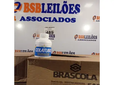 LOTE 489 - 02 CAIXAS COM COLA TUBO ST 175G COM 15 FRASCOS CADA. (NO ESTADO) ATENÇÃO! FAZER A VISITAÇÃO ANTES DE ARREMATAR, NÃO SABEMOS SE FUNCIONA. LEILÃO NÃO TEM GARANTIA E NEM DEVOLUÇÃO, SUJEITO A POSSÍVEIS AVARIAS VISÍVEIS/OCULTAS E/OU AUSÊNCIA DE COMPONENTES).