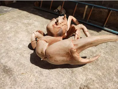 LOTE 243 - RARA E ÚNICA ESCULTURA DE CARANGUEJO IMPORTADA PEÇA RARÍSSIMA  (NO ESTADO)